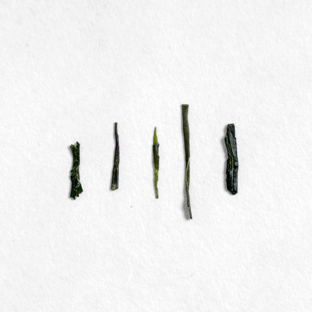 Minamata Blended Sencha