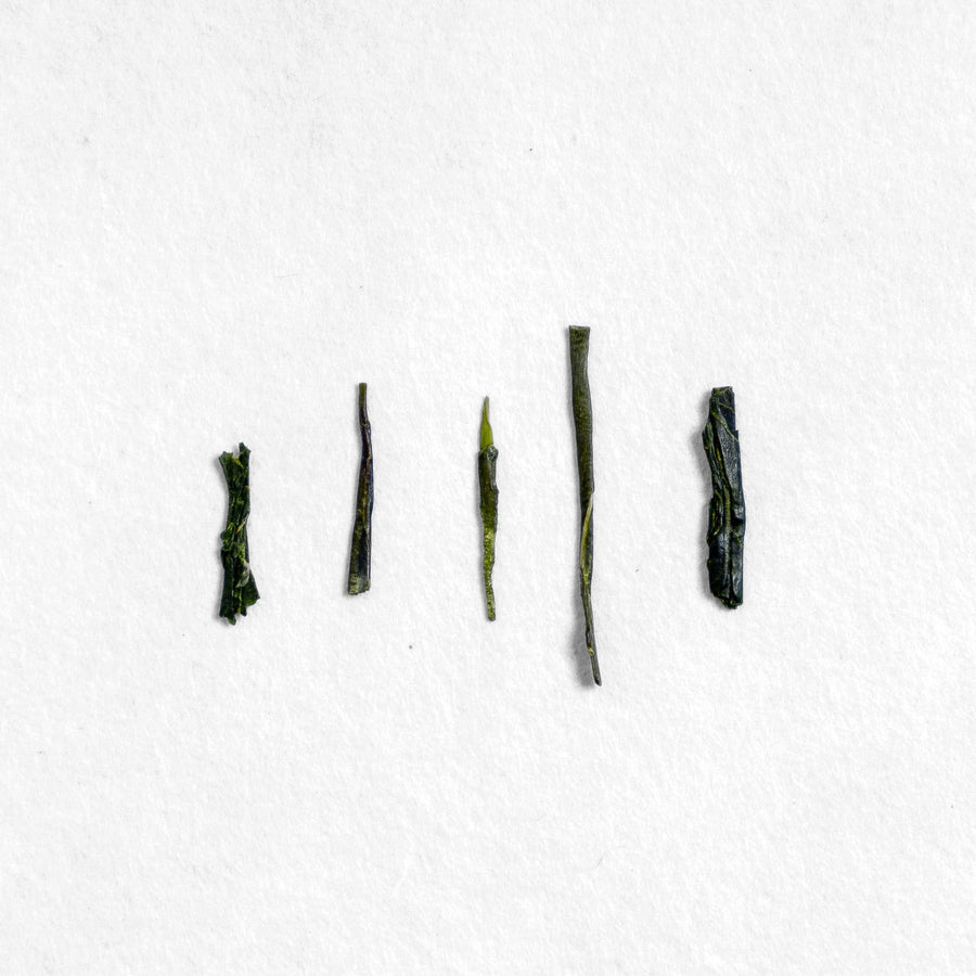 Minamata Blended Sencha