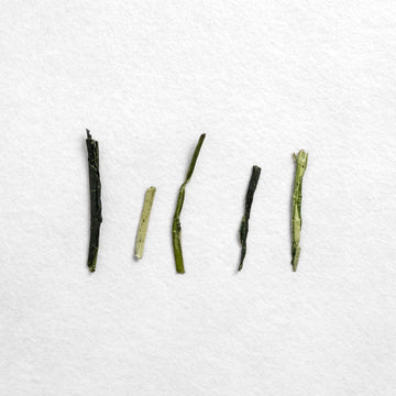 Shibushi Organic Karigane Kukicha