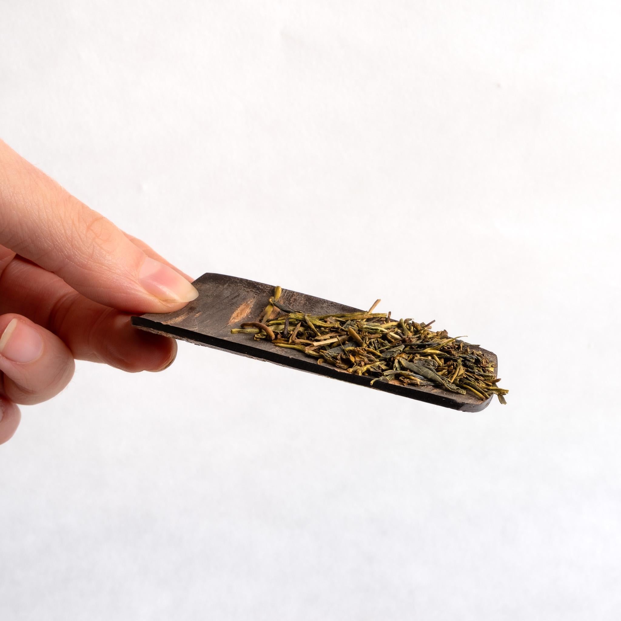 Fujiki Denshiro Cherry Bark Tea Scoop – Kettl