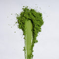 Fuujun Matcha