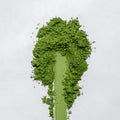 Shiromatsu Matcha