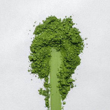 Shiromatsu Matcha