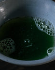 Shuichiro Sakamoto Organic Saemidori Matcha