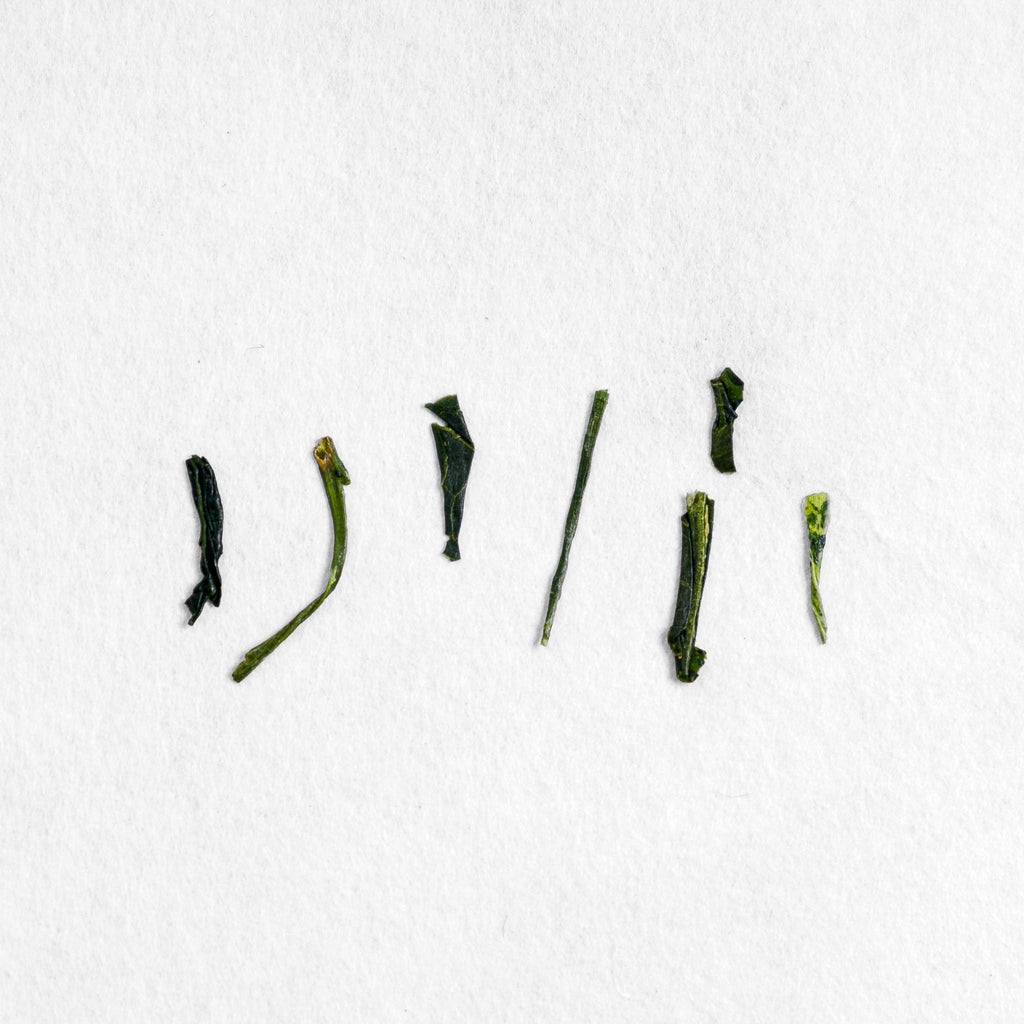 Kiriwaka Midori Sencha