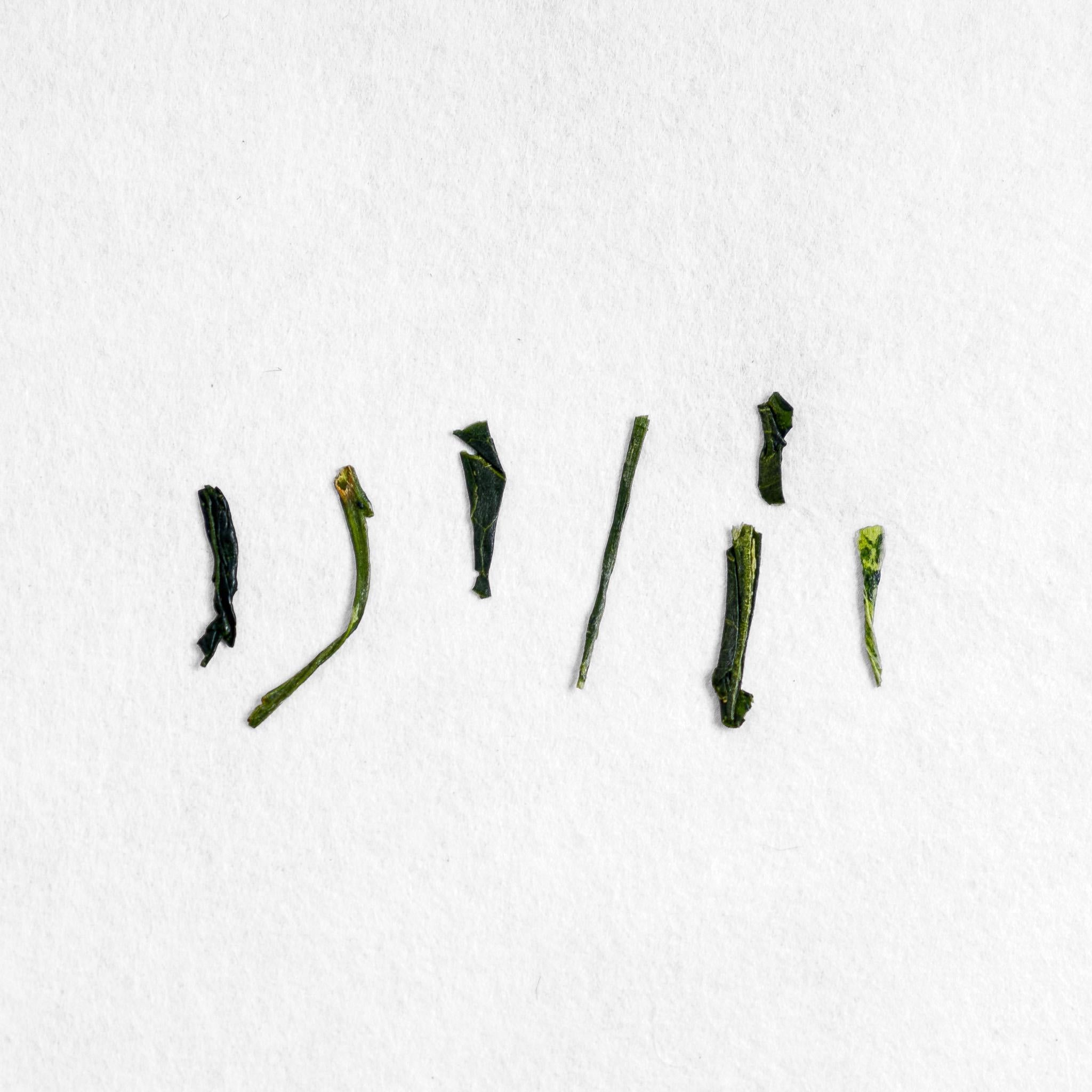 Kiriwaka Midori Sencha