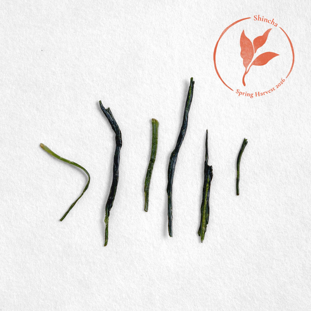 Yabukita Kabuse Shincha (Pre-Order)