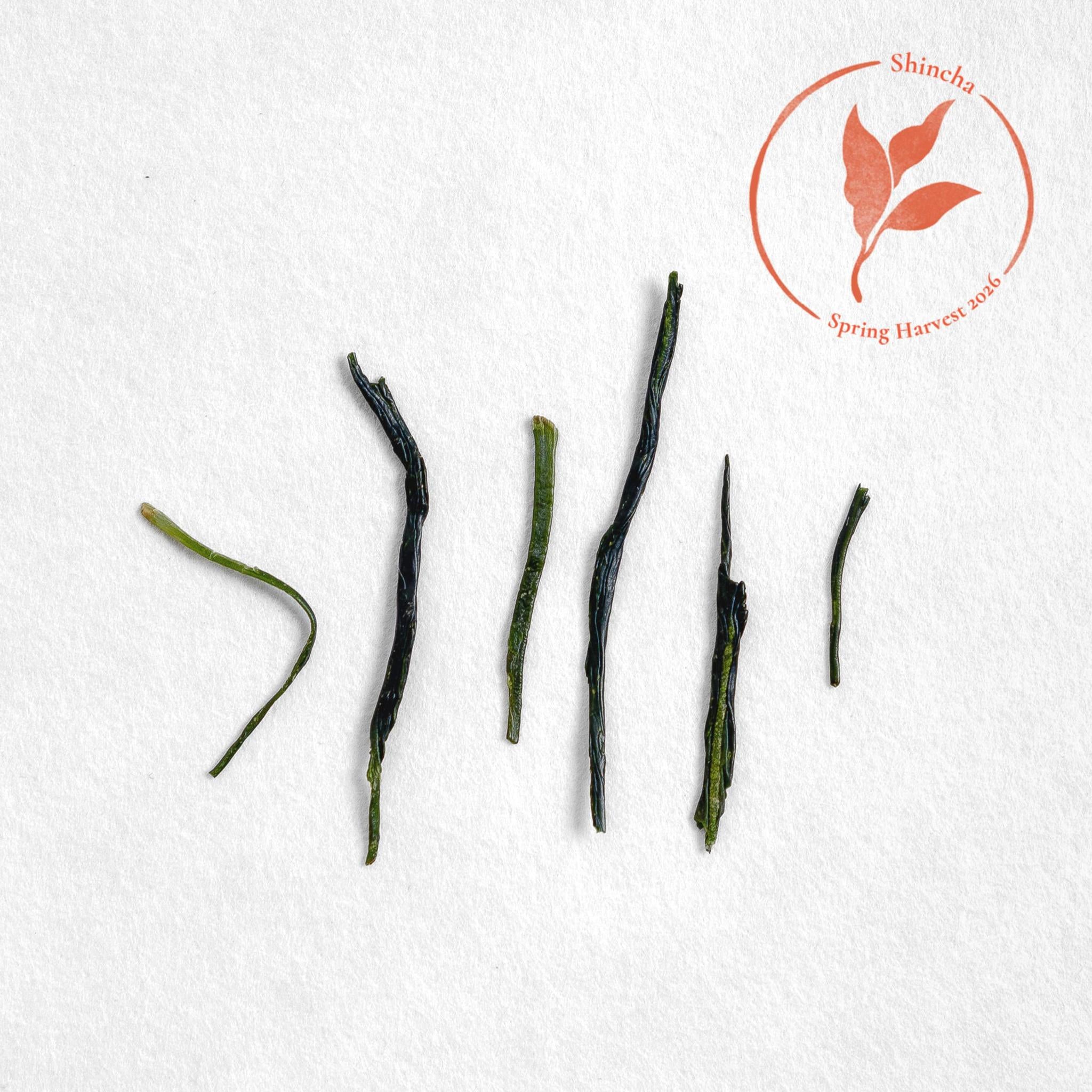 Yabukita Kabuse Shincha (Pre-Order)