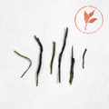 Shizu 7132 Sencha