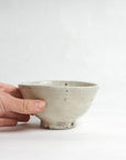 Speckled Glaze Chawan - Shigeyoshi Morioka