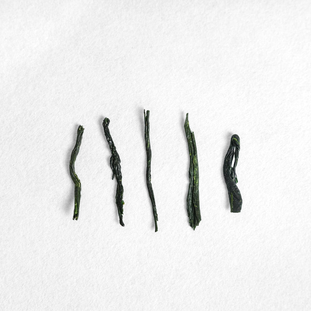 Shinki Yamashita Kyomidori Gyokuro