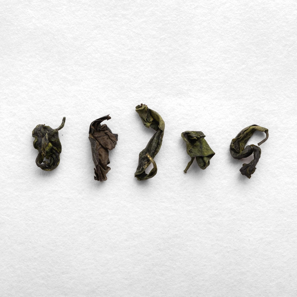 Sayama Micro-oxidized Kamairicha