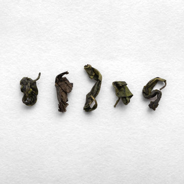 Yoshiaki Hiruma Micro-oxidized Kamairicha (Pre-Order)