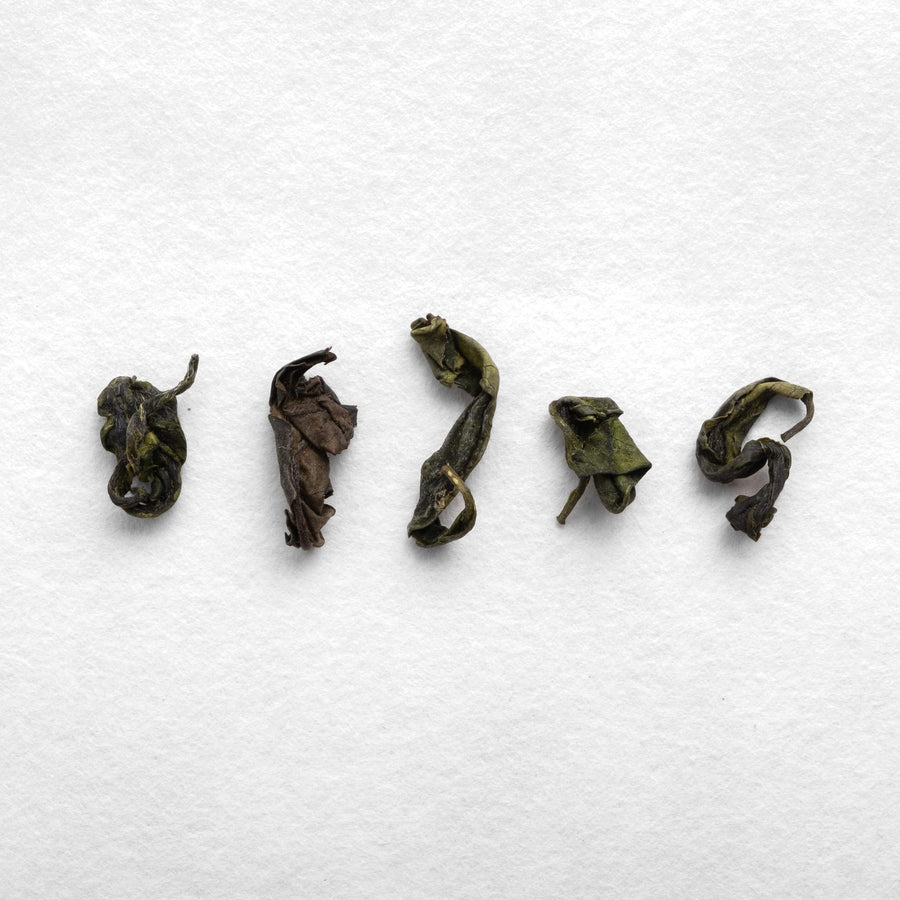 Yoshiaki Hiruma Micro-oxidized Kamairicha (Pre-Order)
