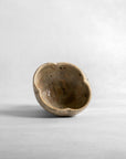Asahikawa Hana Tea Cup (beige) - Kazuhiko Kudō