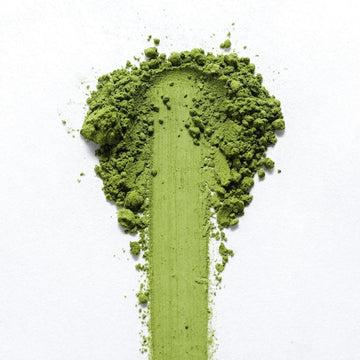 Shirakawa Gokou Matcha