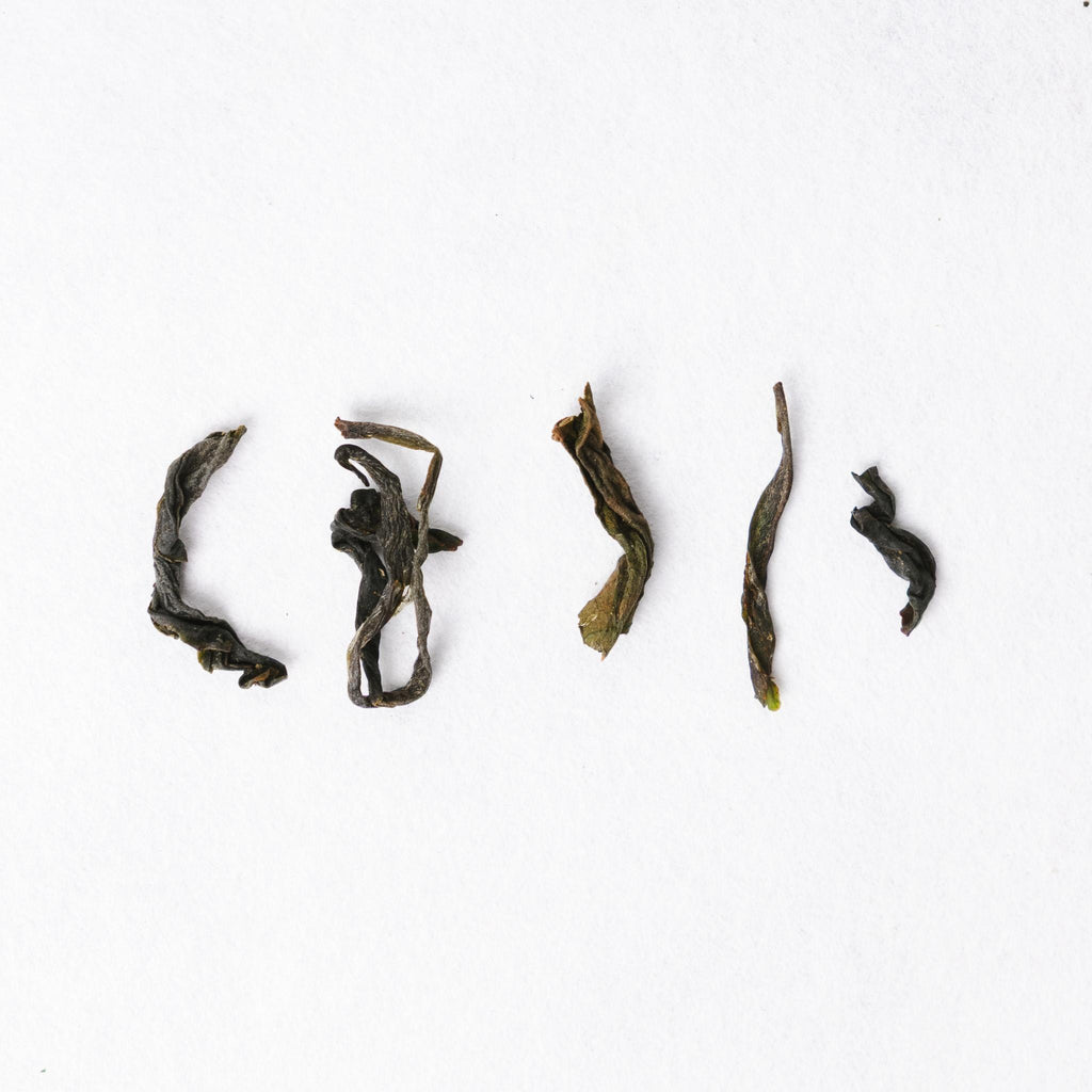 Sashima Izumi Oolong