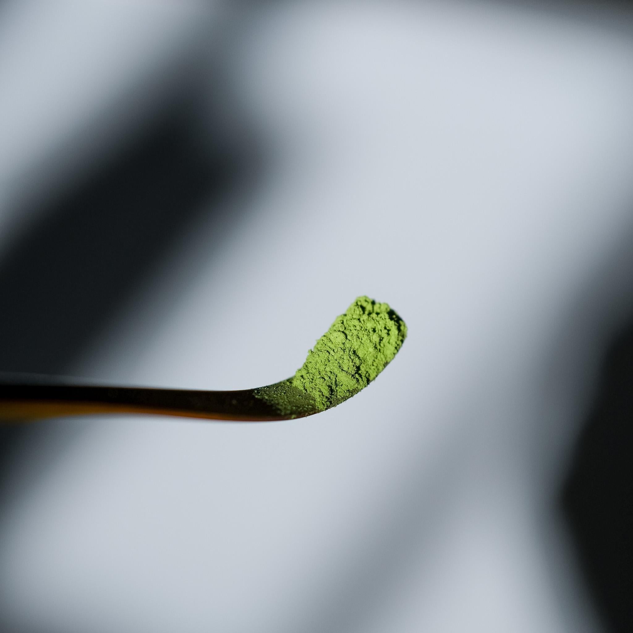 Susutake Chinese Style Chashaku (U) - Toru Hatsuta