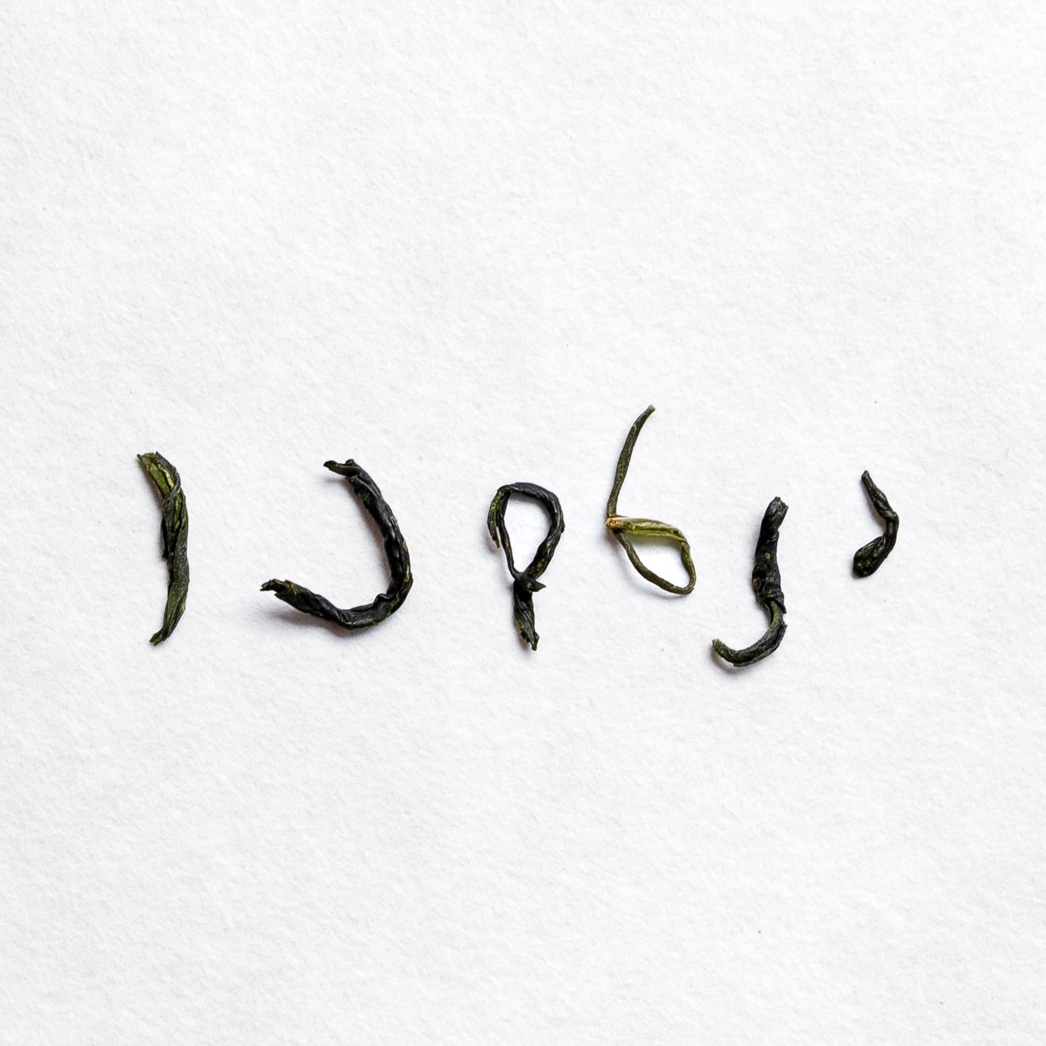 Miyazaki Tokujou Kamairicha Sencha