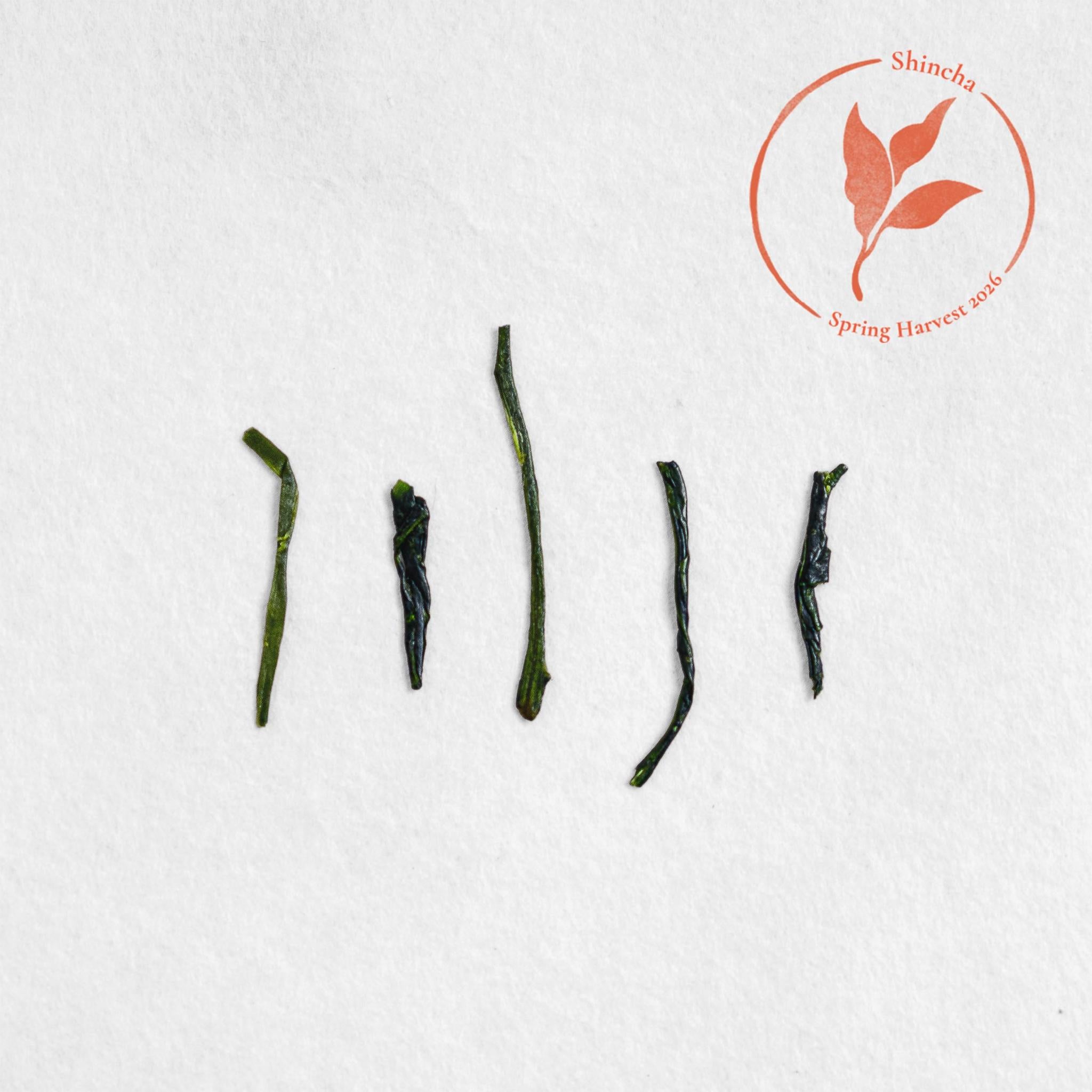 Hatsutsumi Shincha (Pre-order)