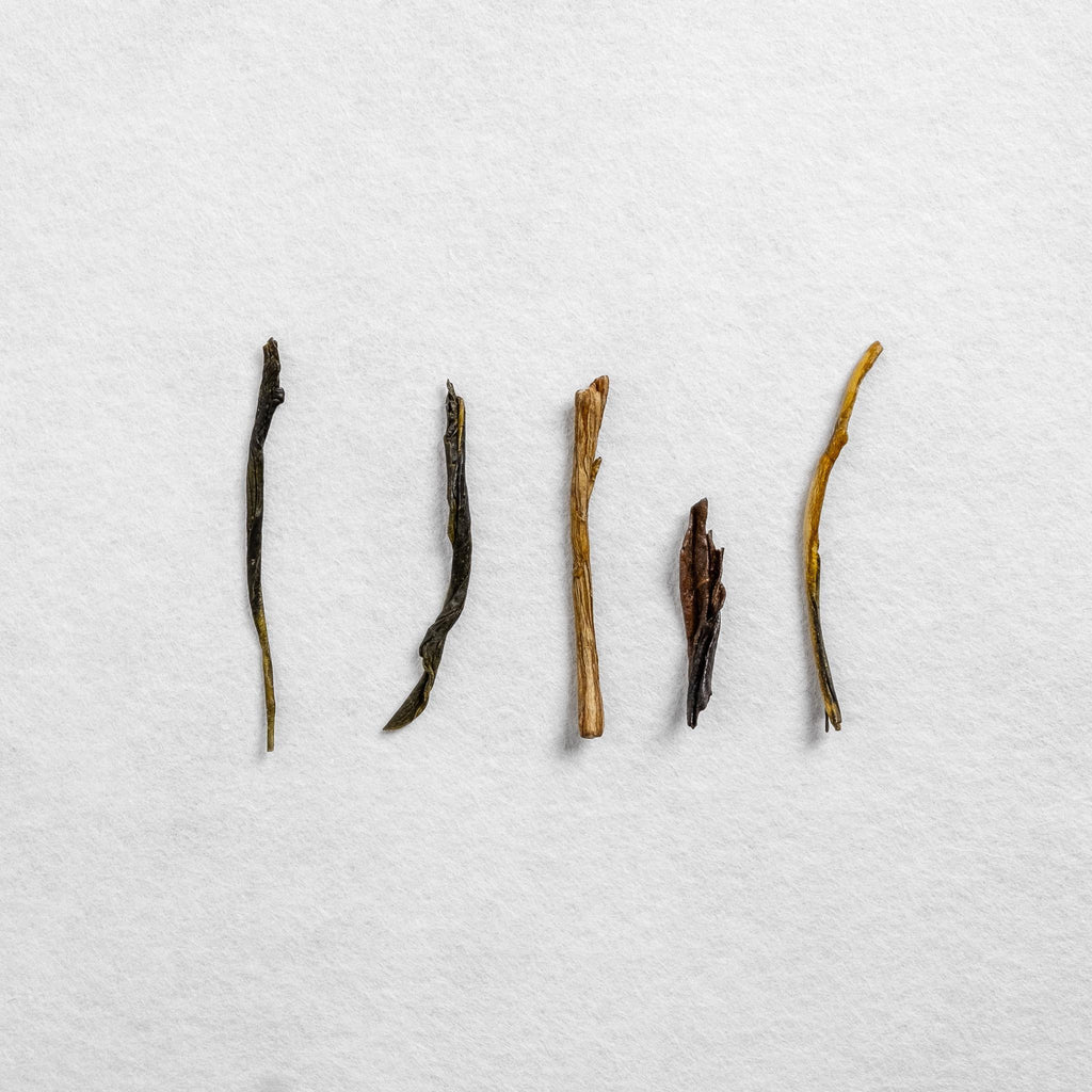 House Roasted Ryogochi Kurasawa