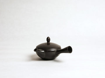 Iwase Kouji Burnished Kyusu