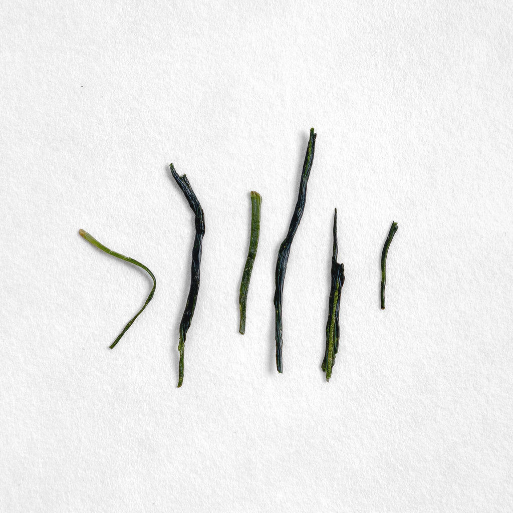 Yabukita Kabuse Sencha