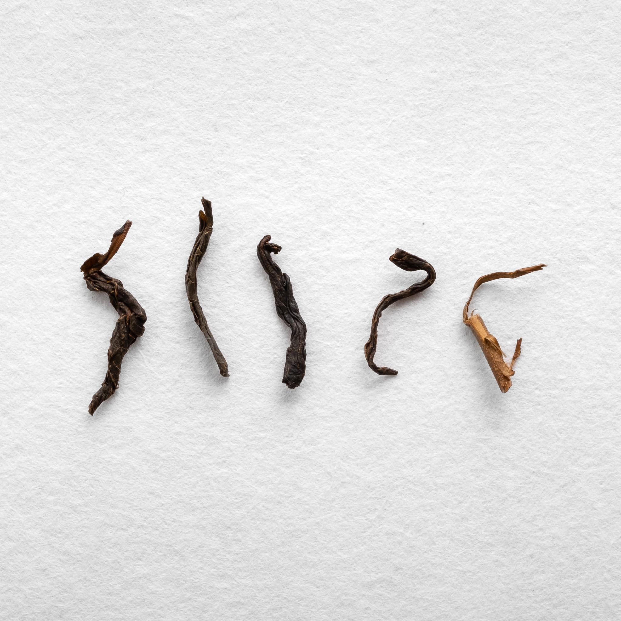 Limited Edition Tanegashima Kuro Koji Pu'er