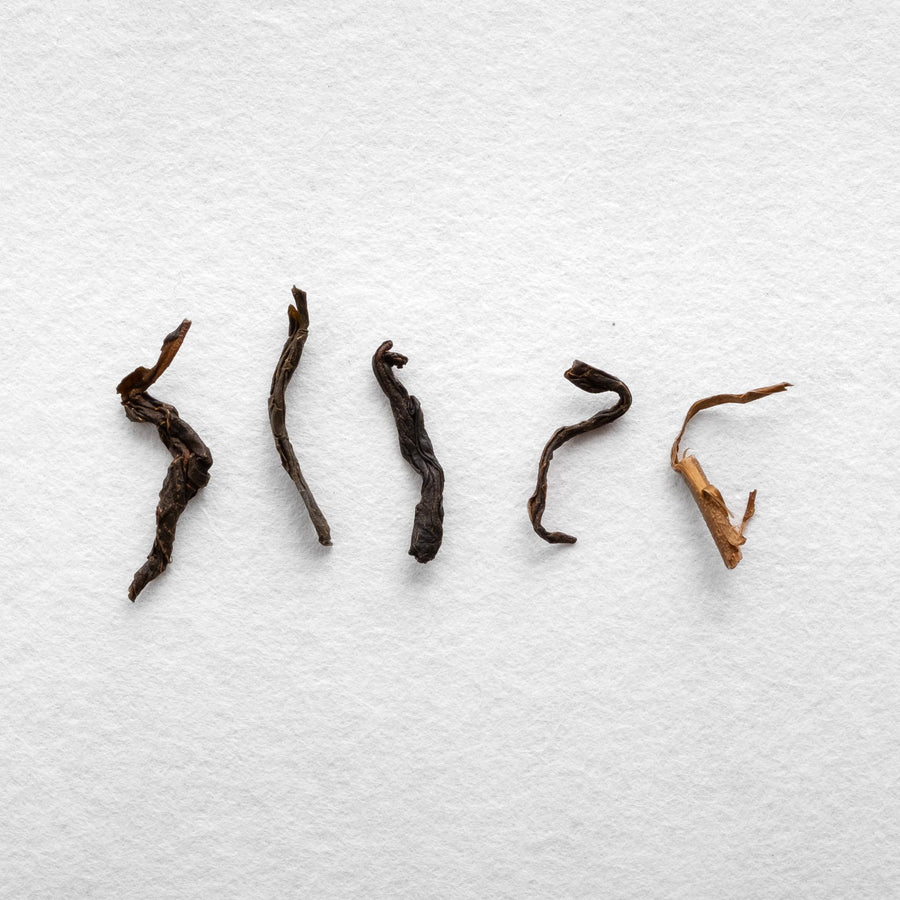 Limited Edition Tanegashima Kuro Koji Pu'er