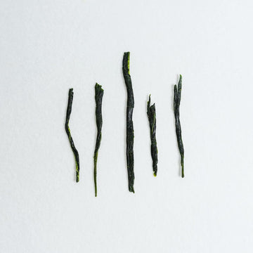 Sumire Sencha