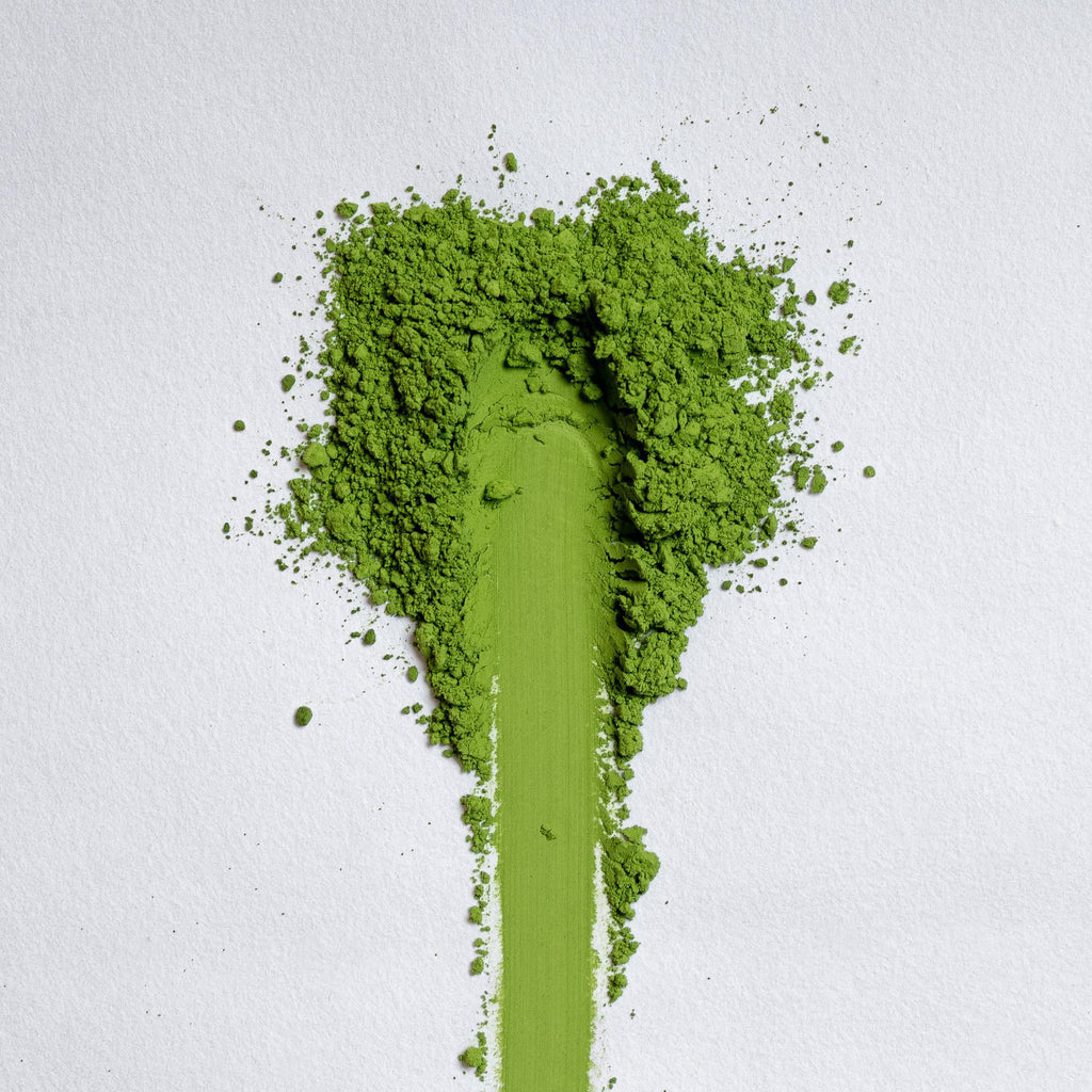 Shirakawa Legacy Matcha Blend