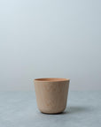 Hashikko Cup Yuunagi - Maple - Natural