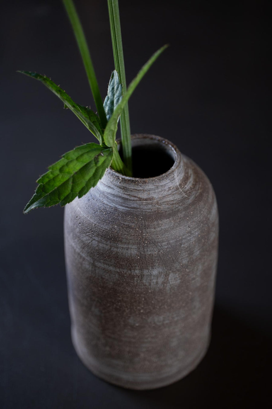 White Slip Dark Clay Vase #1
