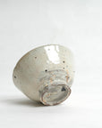 Speckled Glaze Chawan - Shigeyoshi Morioka