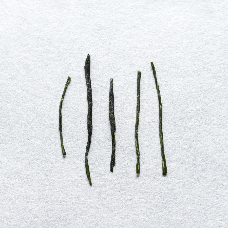Yabukita Kabuse Shincha (Pre-Order)