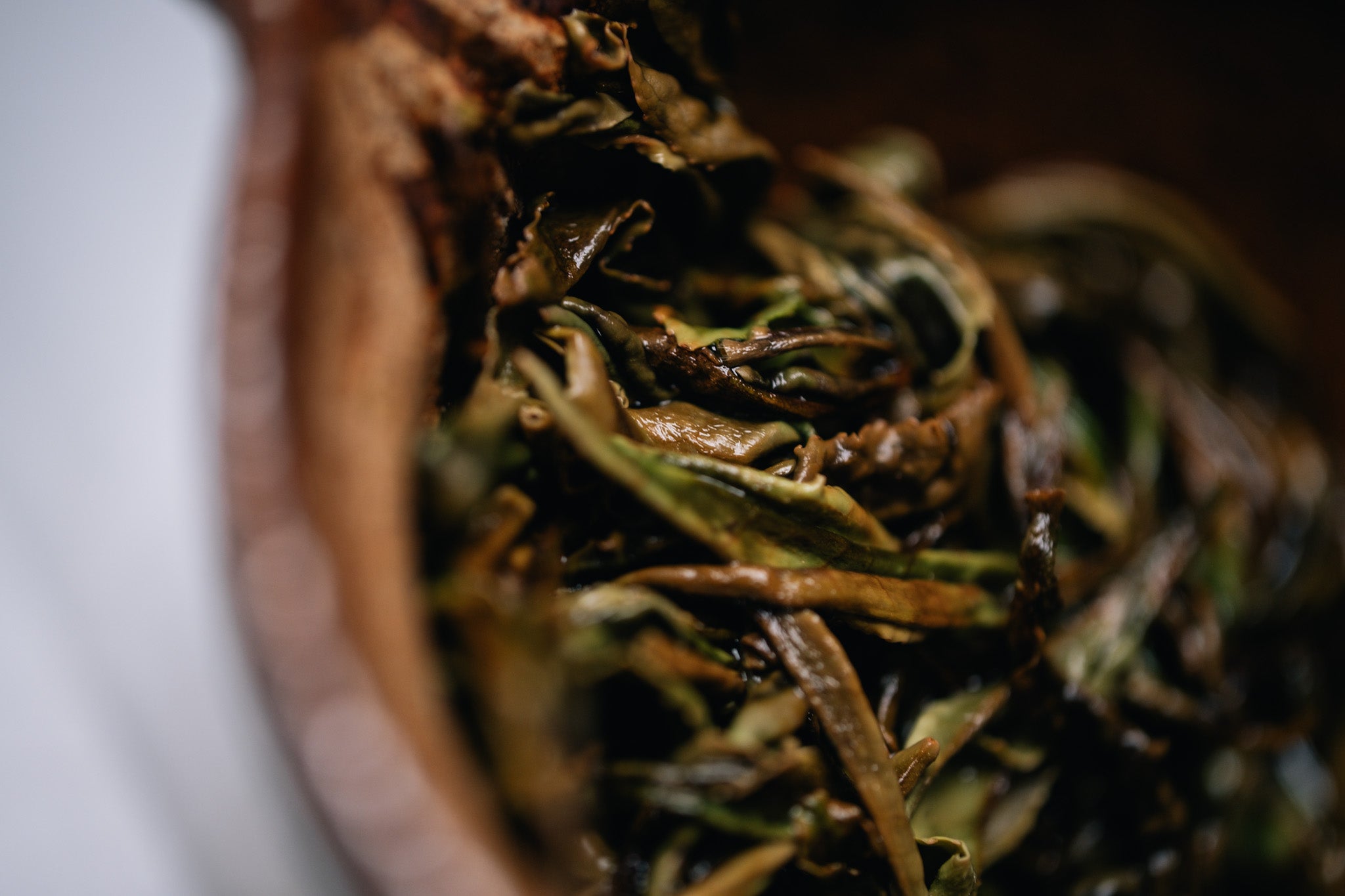 茶糖 Tsuguto Hattori Hand Picked Silver Needle Tea – Kettl