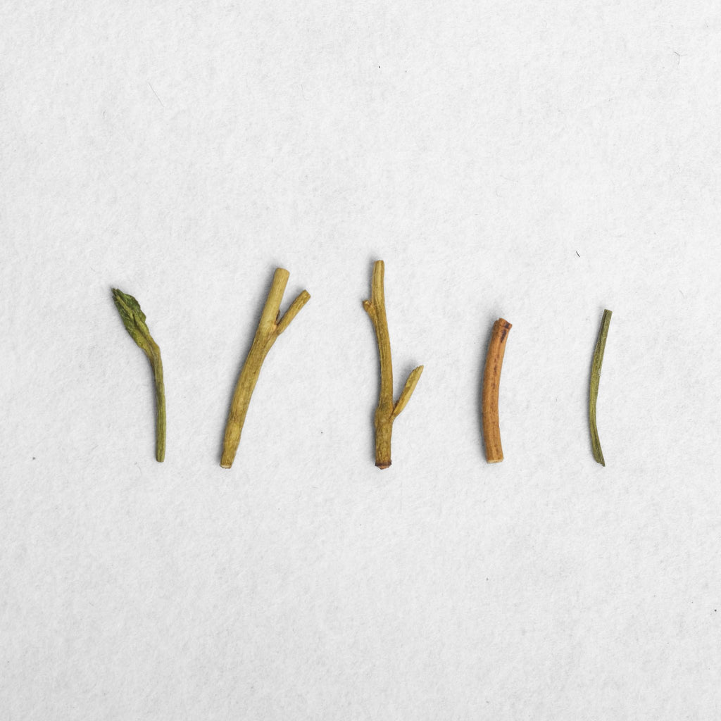 House Roasted Competition Tencha Houjicha