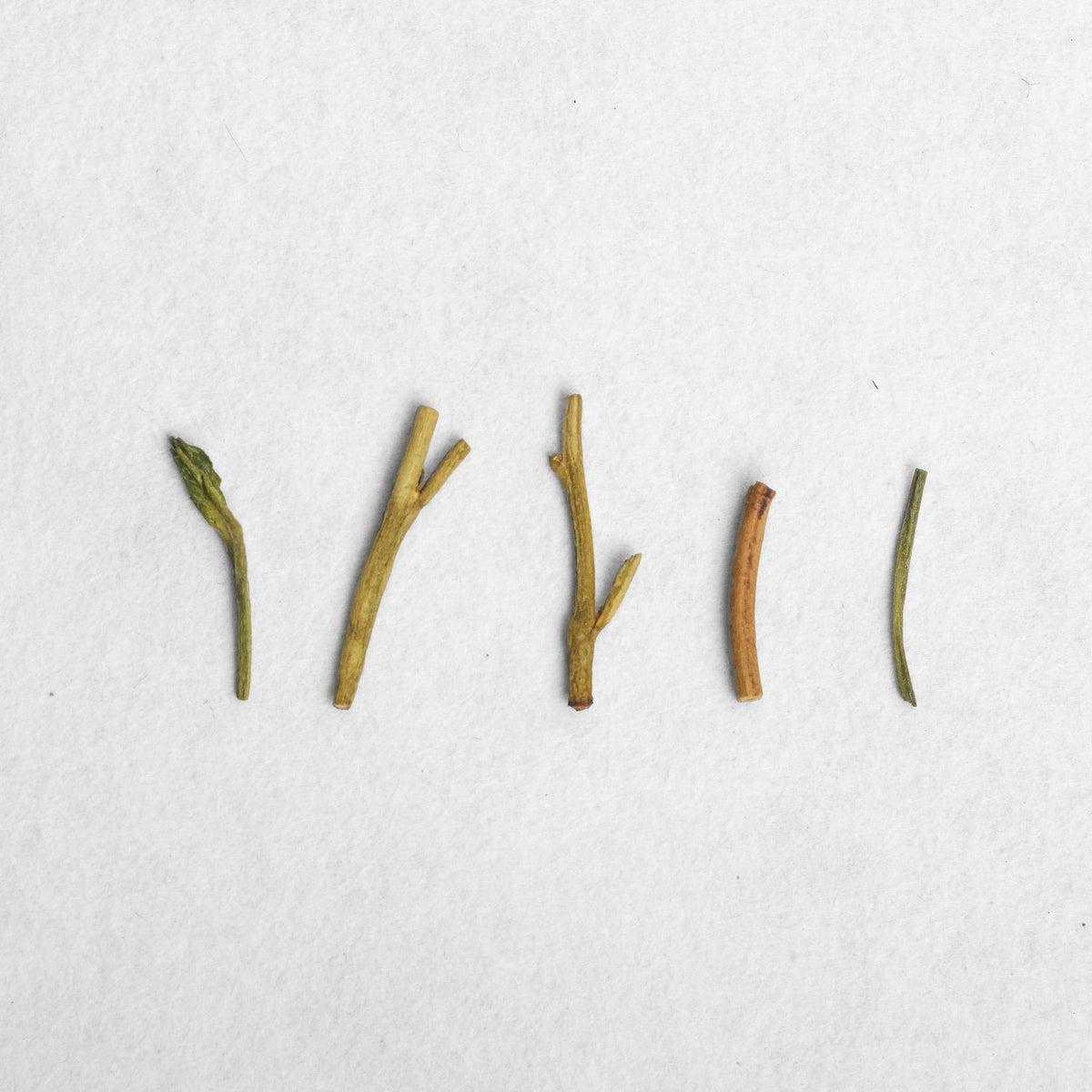 House Roasted Competition Tencha Houjicha