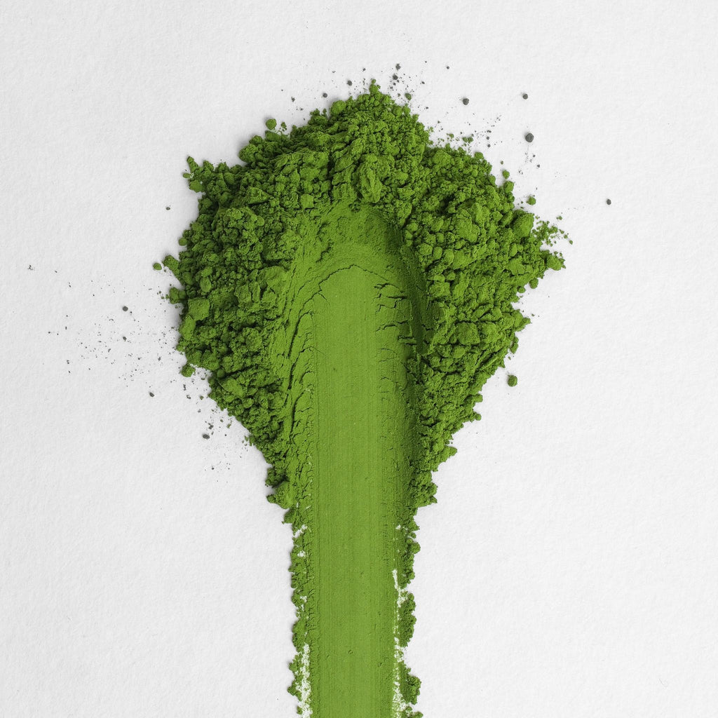 Shirakawa Legacy Matcha Blend