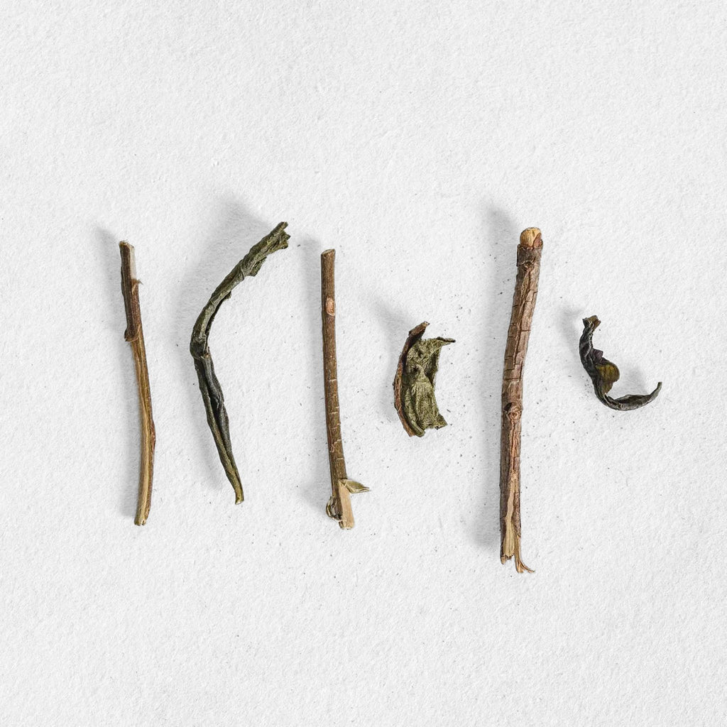 Miyazaki Withered Houjicha
