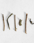 Miyazaki Withered Houjicha