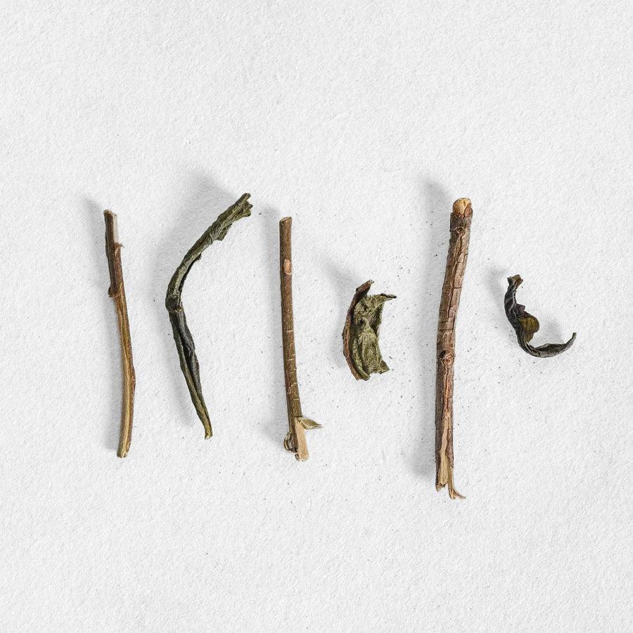 Miyazaki Withered Houjicha
