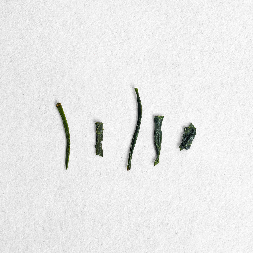 Fujimidori Sencha