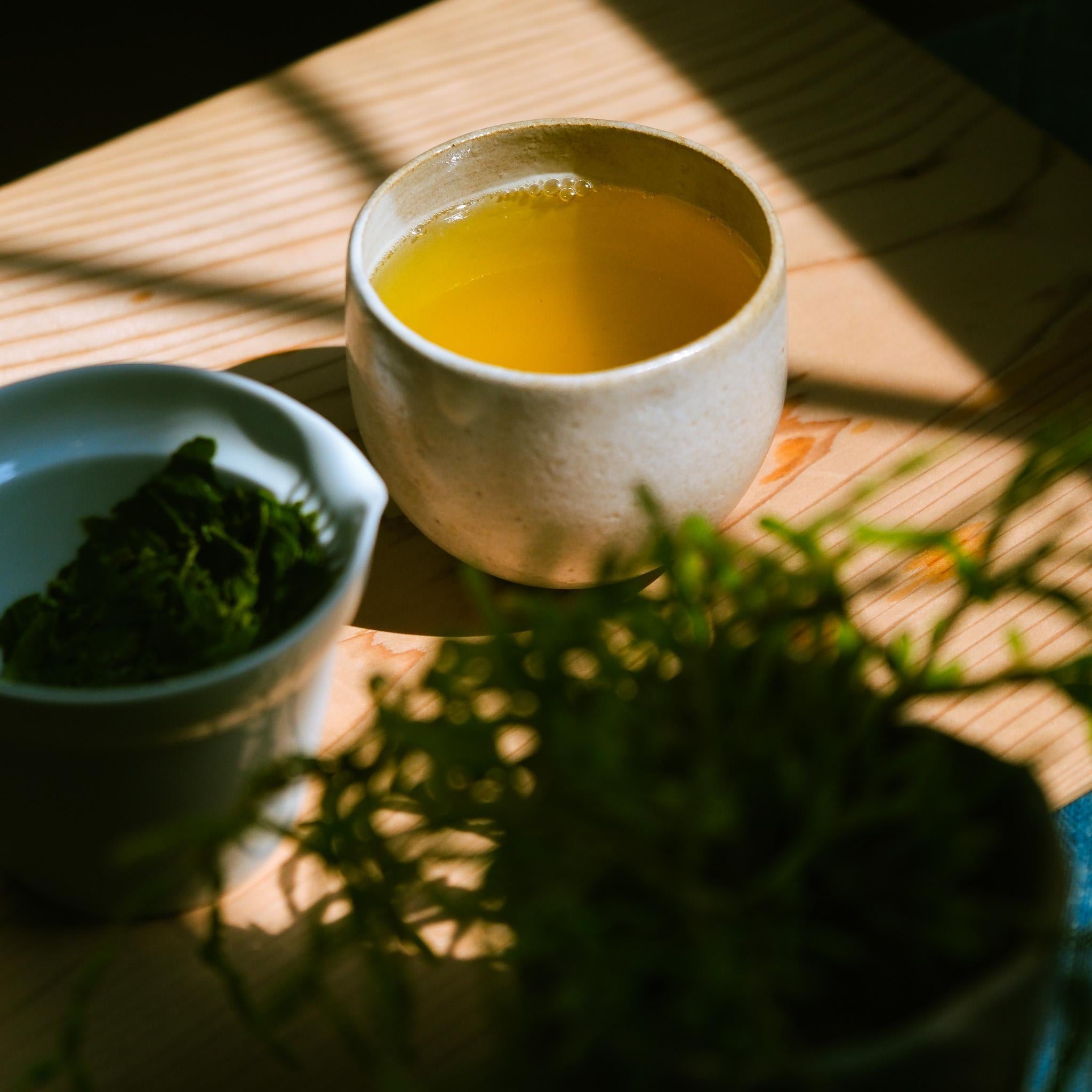 Dosenbo Yabukita Sencha