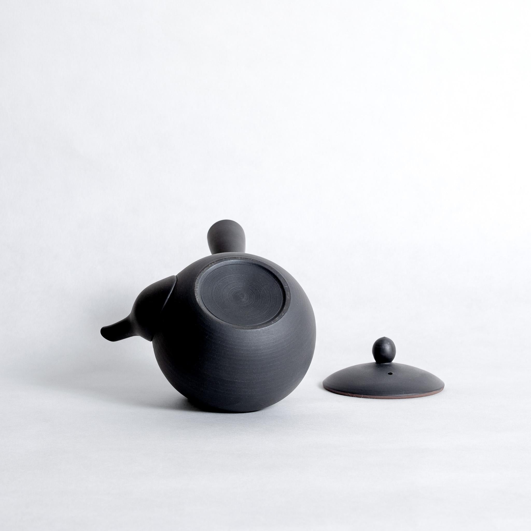 Nankei Kyusu - Black