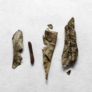 Iribancha Houjicha