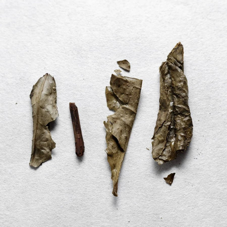Iribancha Houjicha