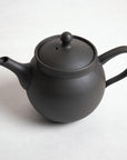 Tomohiro Ushirode Kyusu