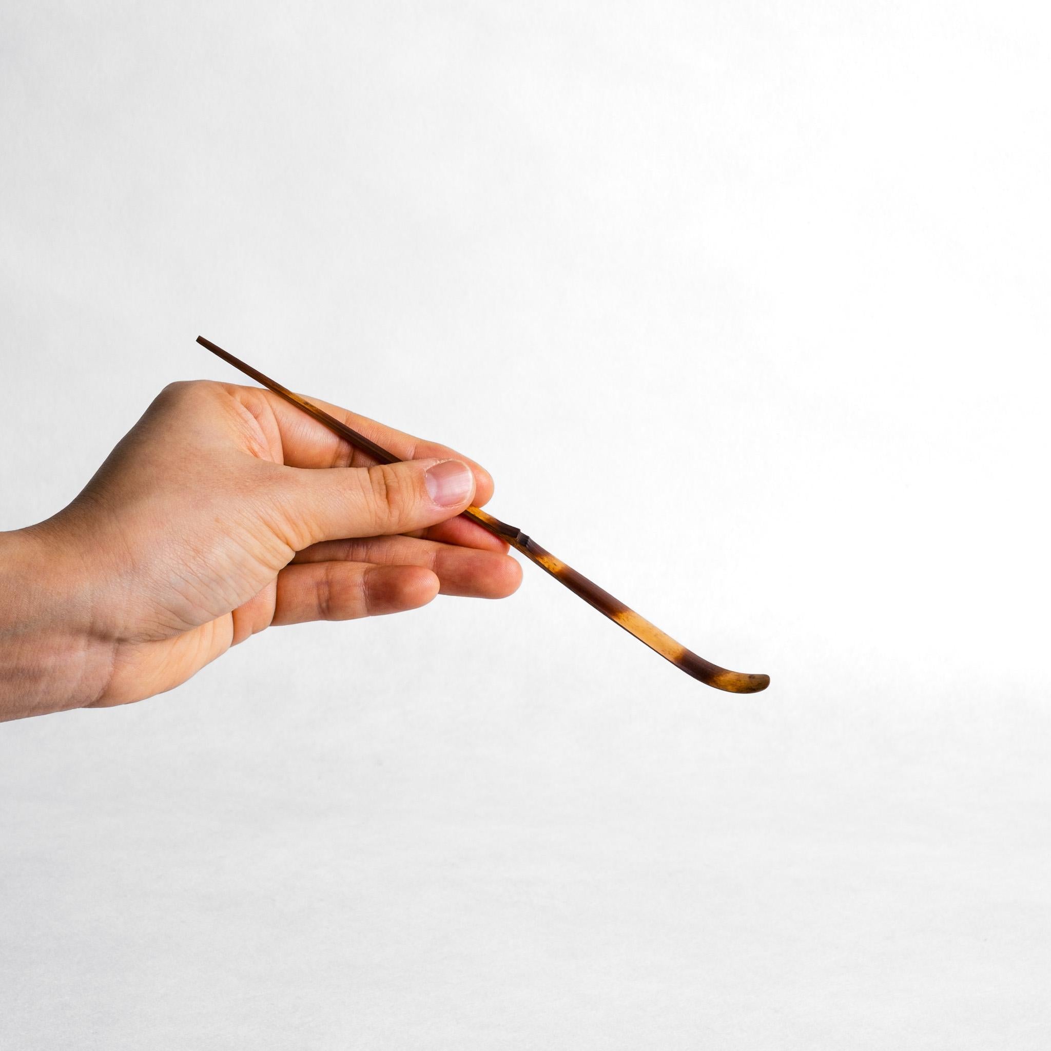 Susutake Chinese Style Chashaku (R) - Toru Hatsuta