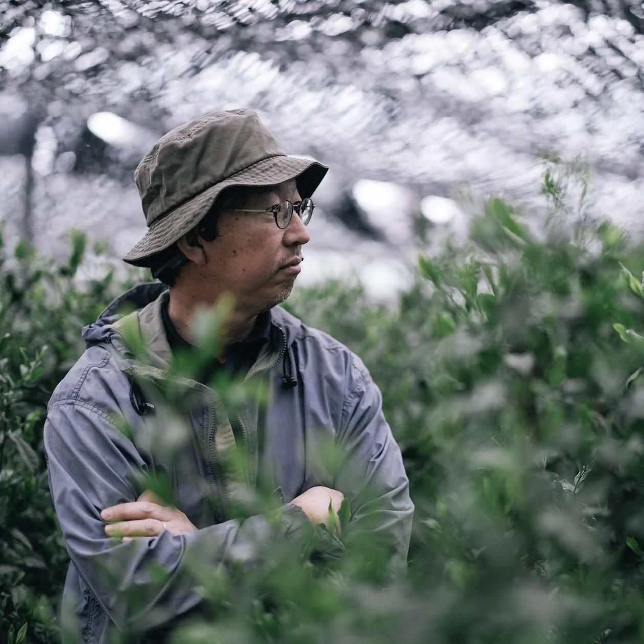 Gokasho Organic Samidori Matcha